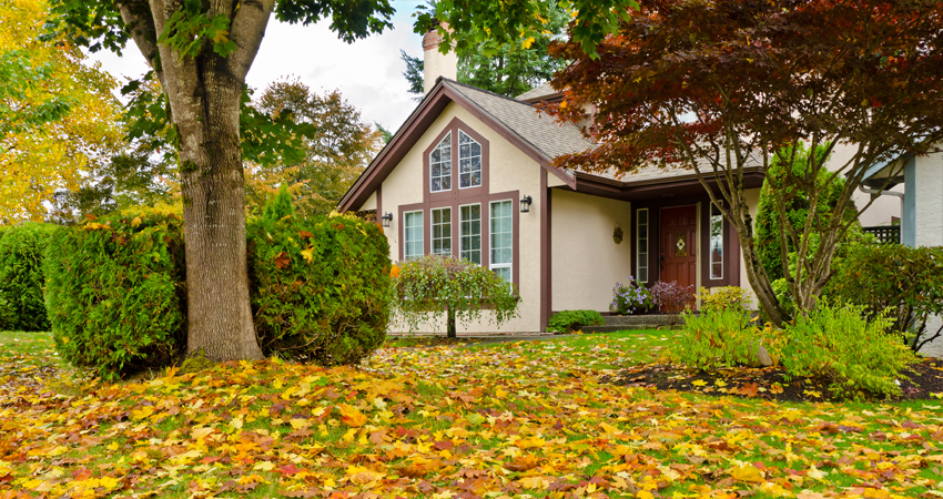 Fall Yard Work Independence