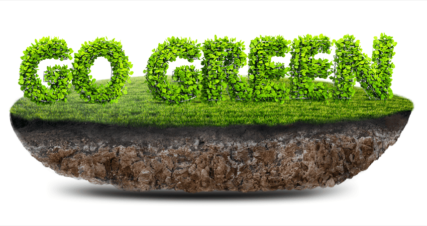 Green Lawn Care