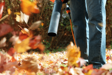 Spring Fall Cleanup Kansas City